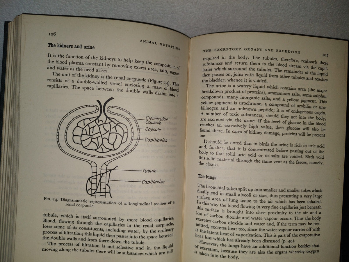 90- Animal Nutrition - Cyril Tyler. Chapman And Hall - 1964