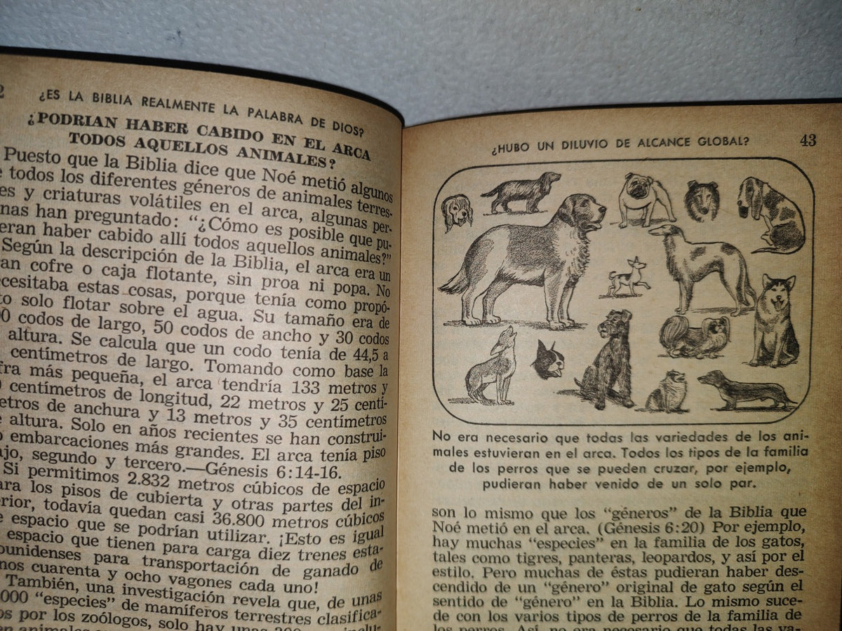 93- Watchtower. ¿Es La Biblia Realmente La Palabra De Dios? - 1969