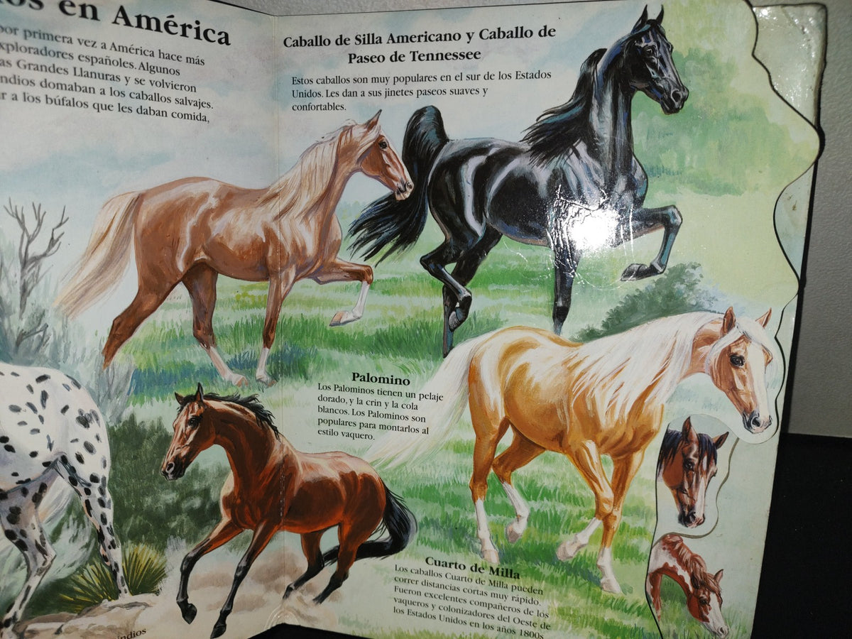 199- Caballos Y Ponys En La Punta De Sus Dedos - Marc Gave. McClanahan Book Company, 1996