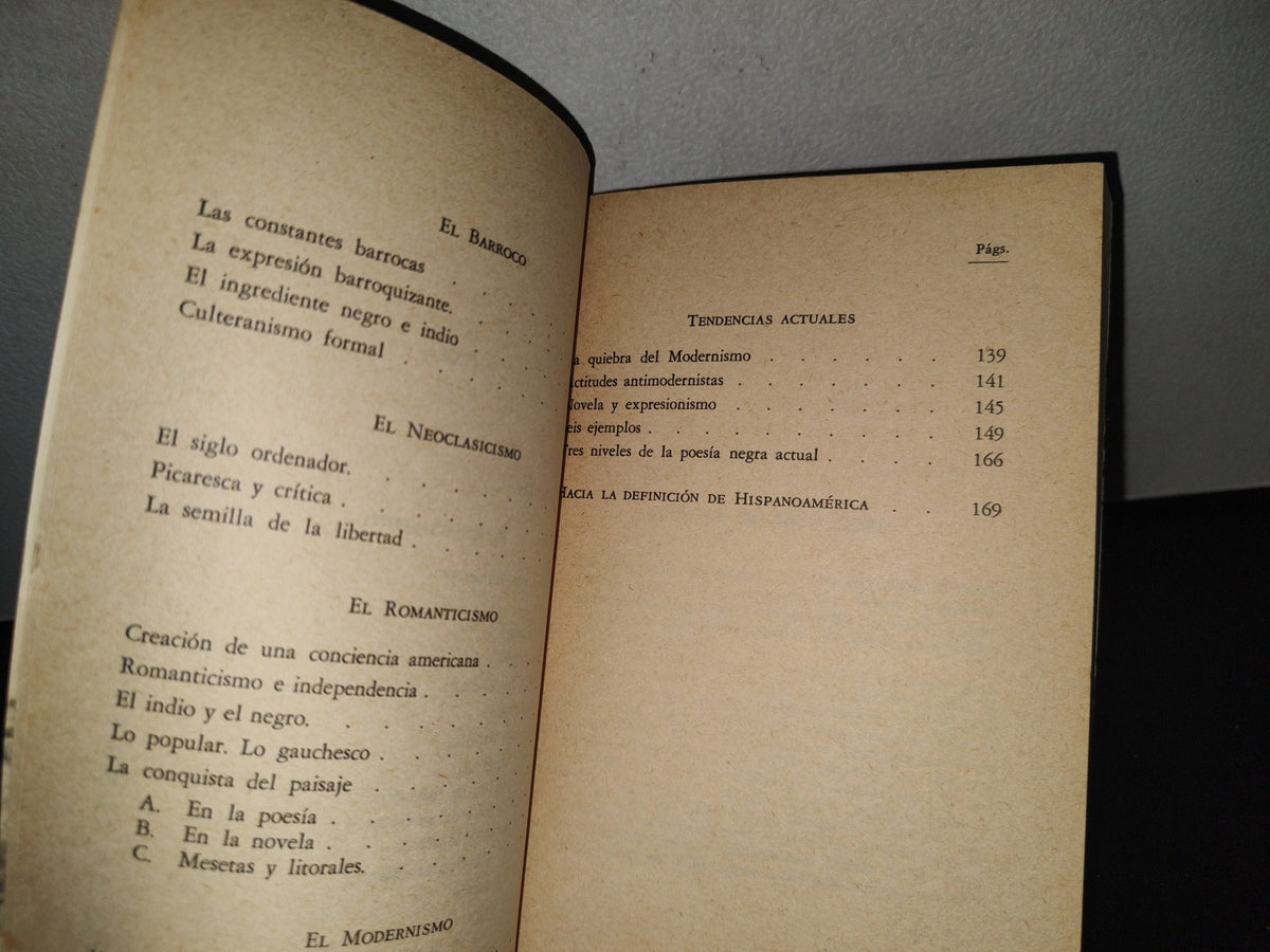84- Hispanoamérica En Su Literatura - Guillermo Díaz-Plaja