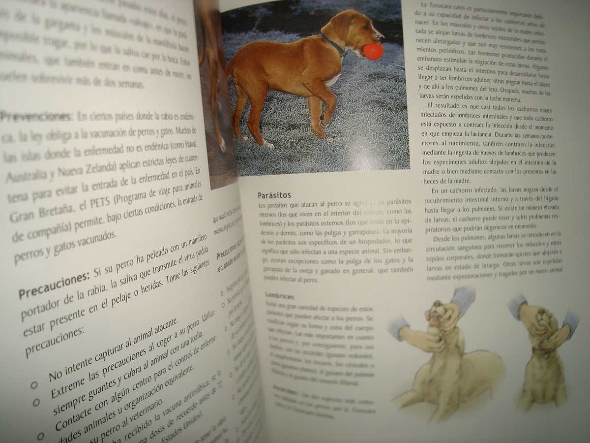 1- Manual Para El Cuidado Del Perro - Graham Meadows