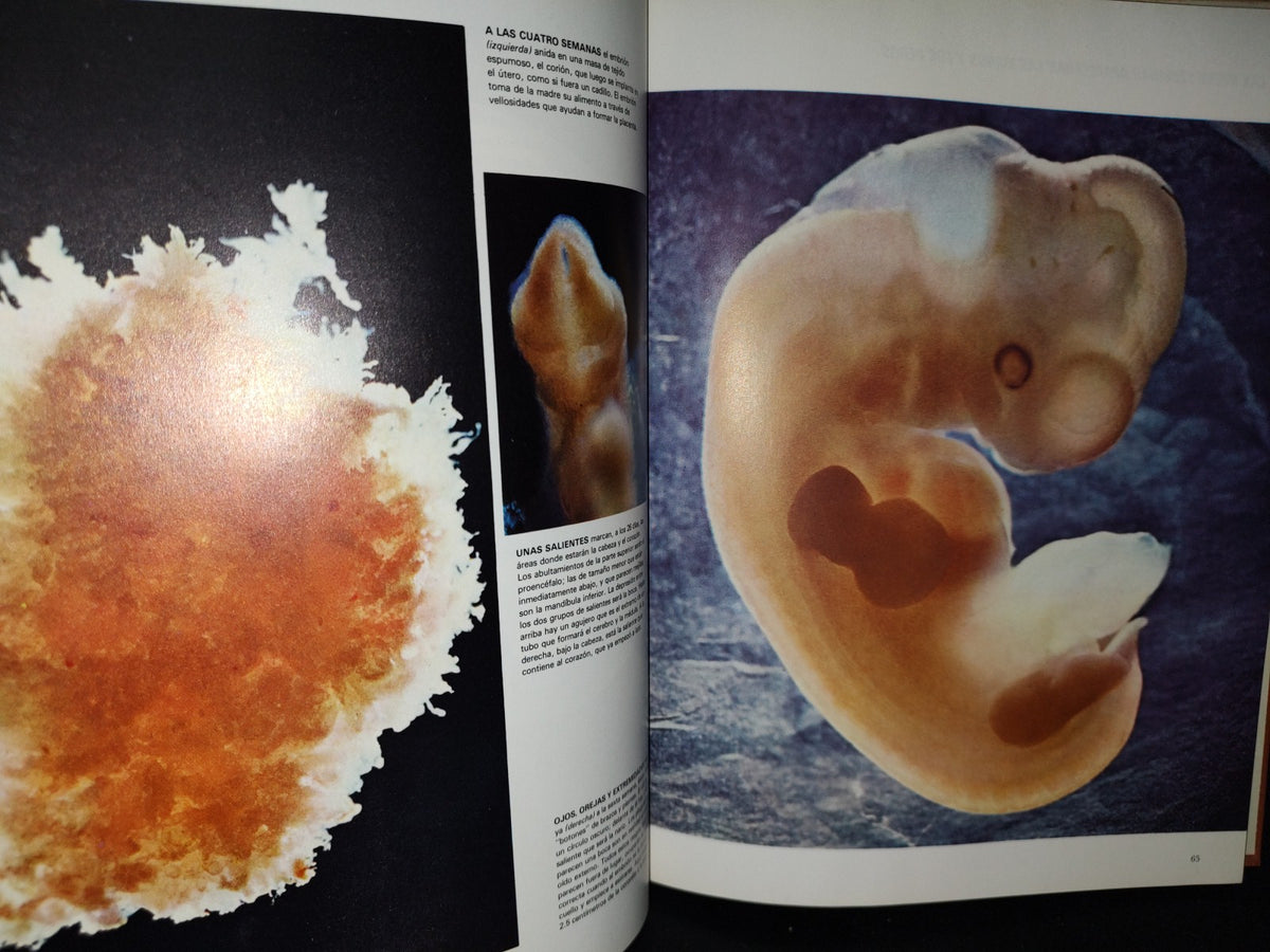 68- Colección Científica De Time Life. El Crecimiento - 1981