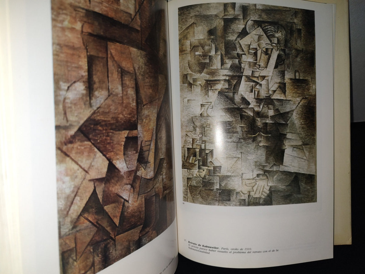 87-2- Picasso - Josep Palau I Fabre - 1981 Ediciones Polígrafa, S. A.