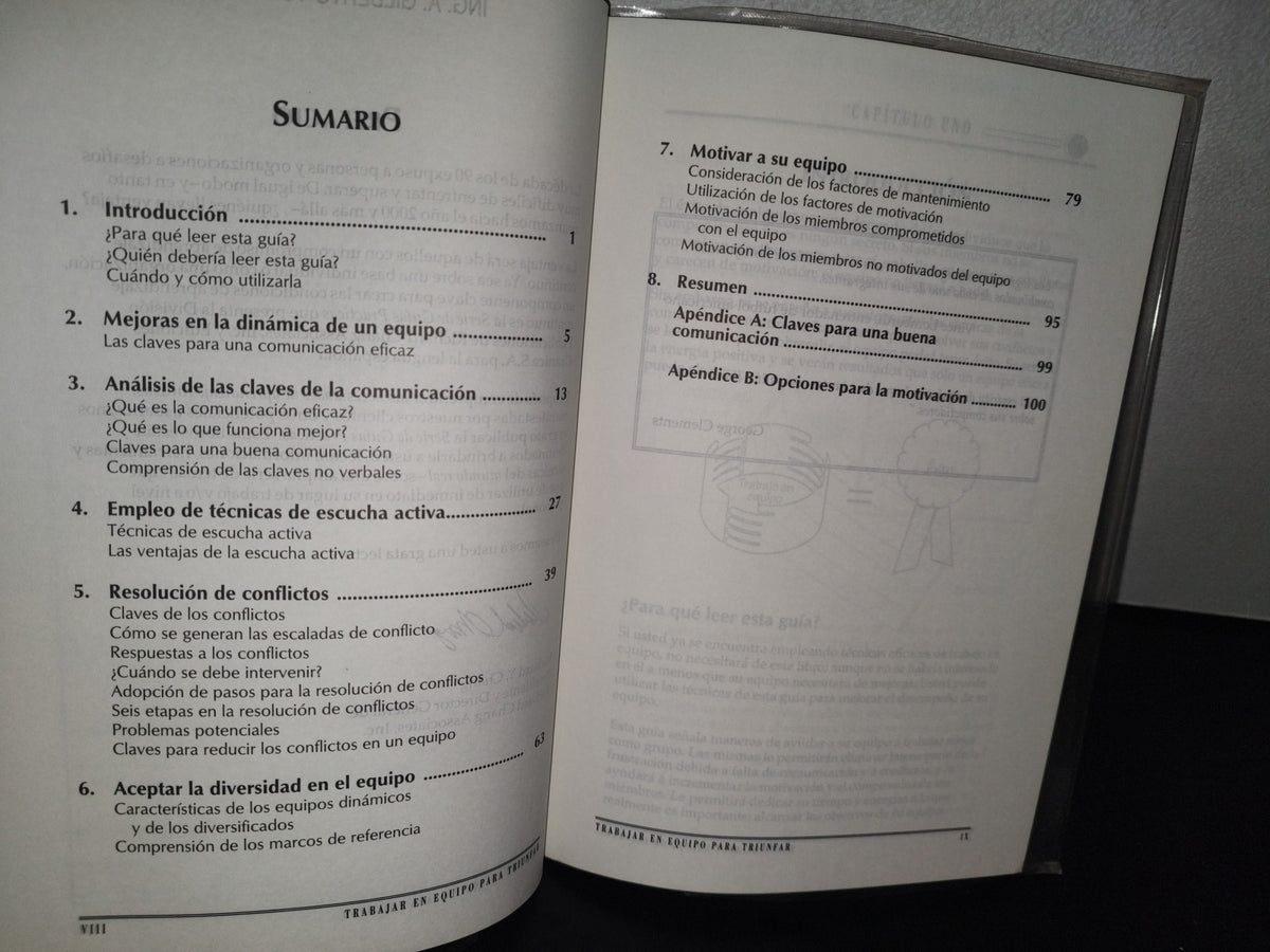 84- Trabajar En Equipo Ara Triunfar. Guía Práctica Para Comprender Su Dinámica - Richard Y. Chang