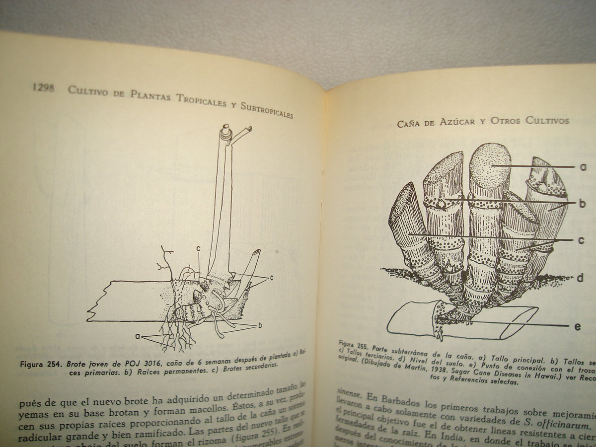 161- Cultivo Y Mejoramiento De Plantas Tropicales Y Subtropicales - J. J. Ochse, M. J. Soule, Jr. - Limusa