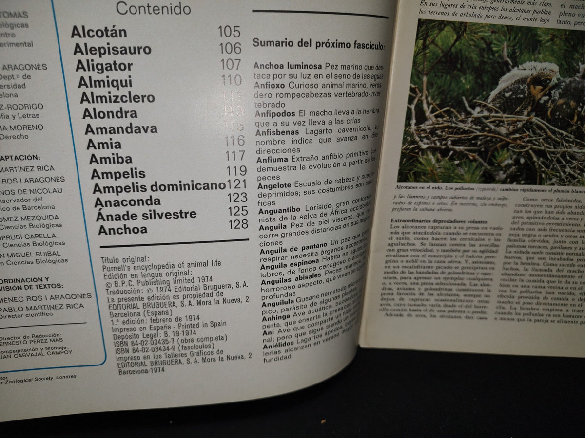 64- Gran Zoo. Enciclopedia De La Vida Animal - Bruguera - No. 5 - 1A. Edición: Febrero De 1974