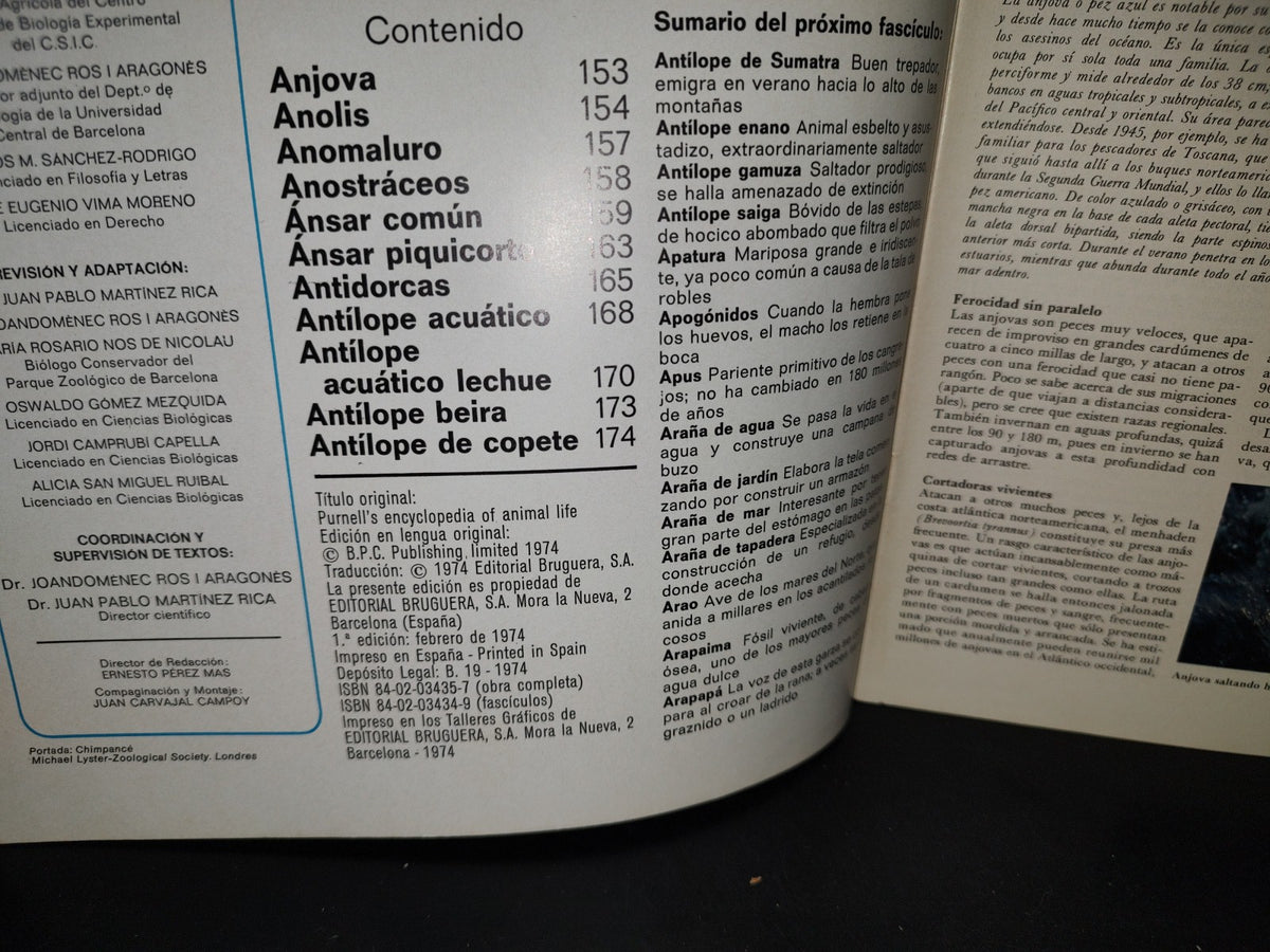 64- Gran Zoo. Enciclopedia De La Vida Animal - Bruguera - No. 7 - 1A. Edición: Febrero De 1974