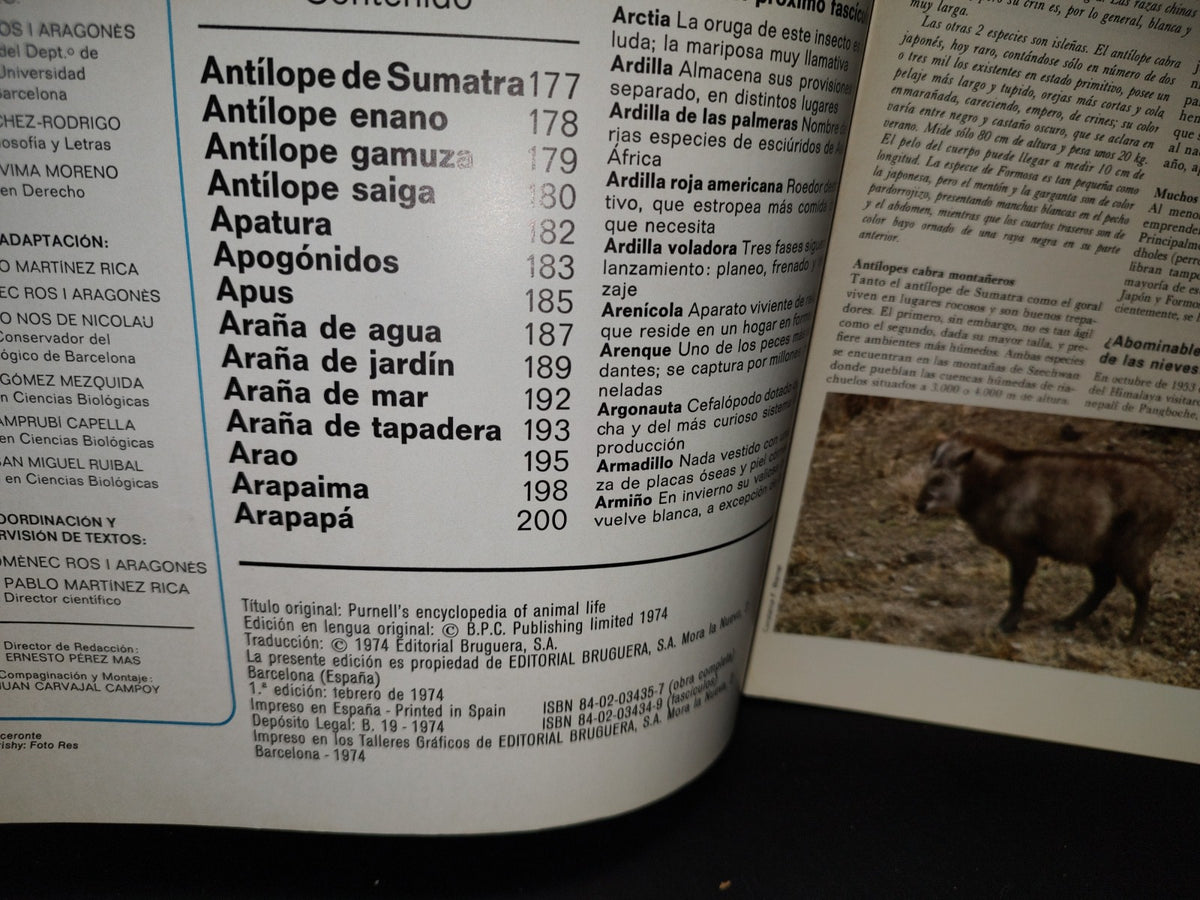 64- Gran Zoo. Enciclopedia De La Vida Animal - Bruguera - No. 8 - 1A. Edición: Febrero De 1974