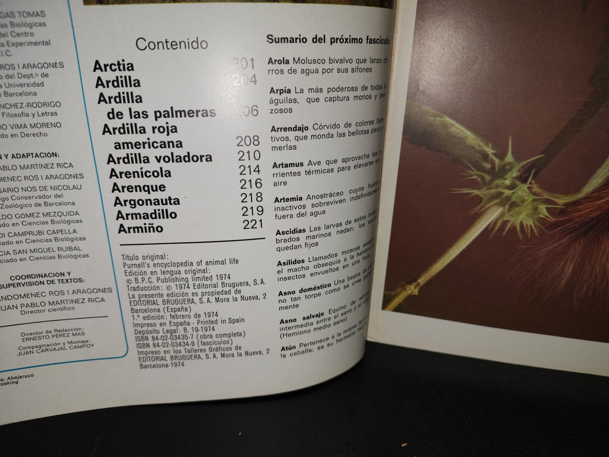 64- Gran Zoo. Enciclopedia De La Vida Animal - Bruguera - No. 9 - 1A. Edición: Febrero De 1974