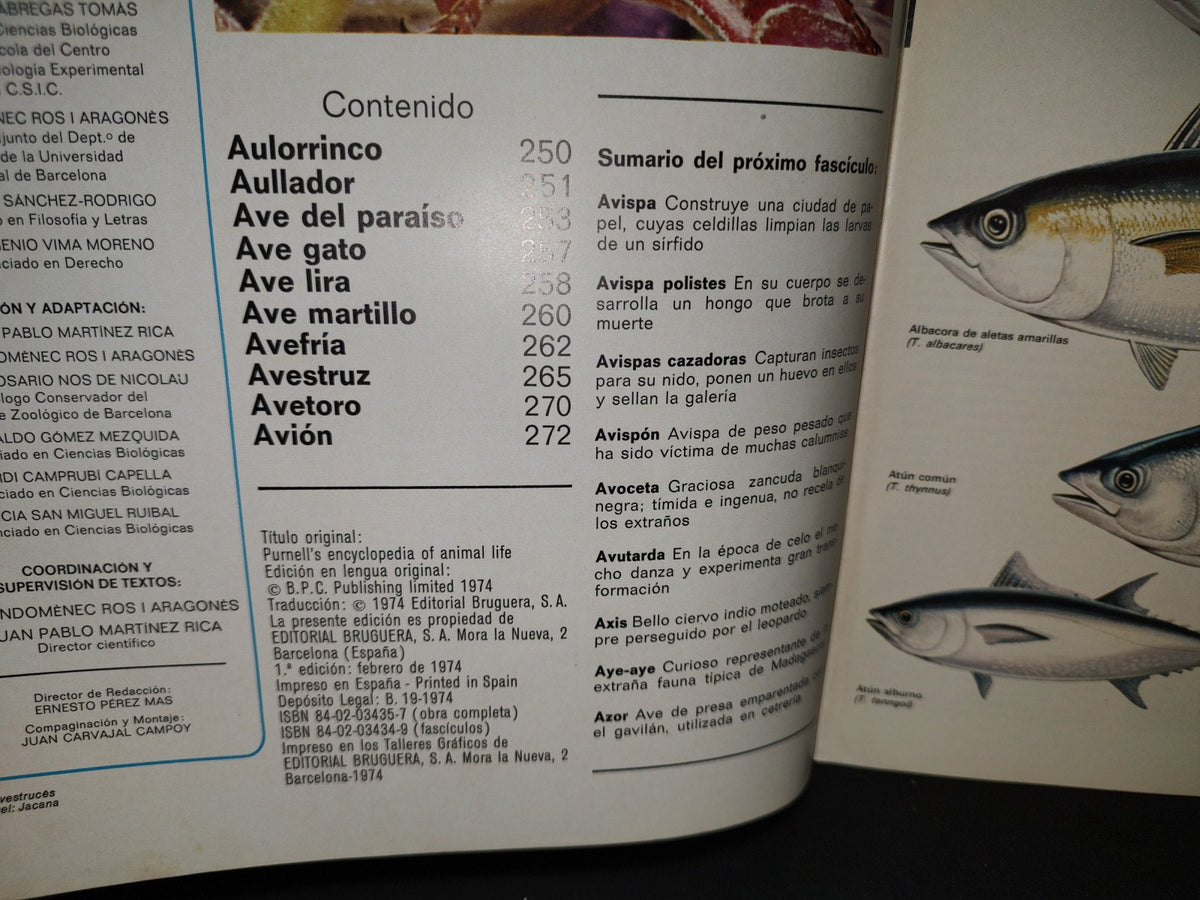 64- Gran Zoo. Enciclopedia De La Vida Animal - Bruguera - No. 11 - 1A. Edición: Febrero De 1974