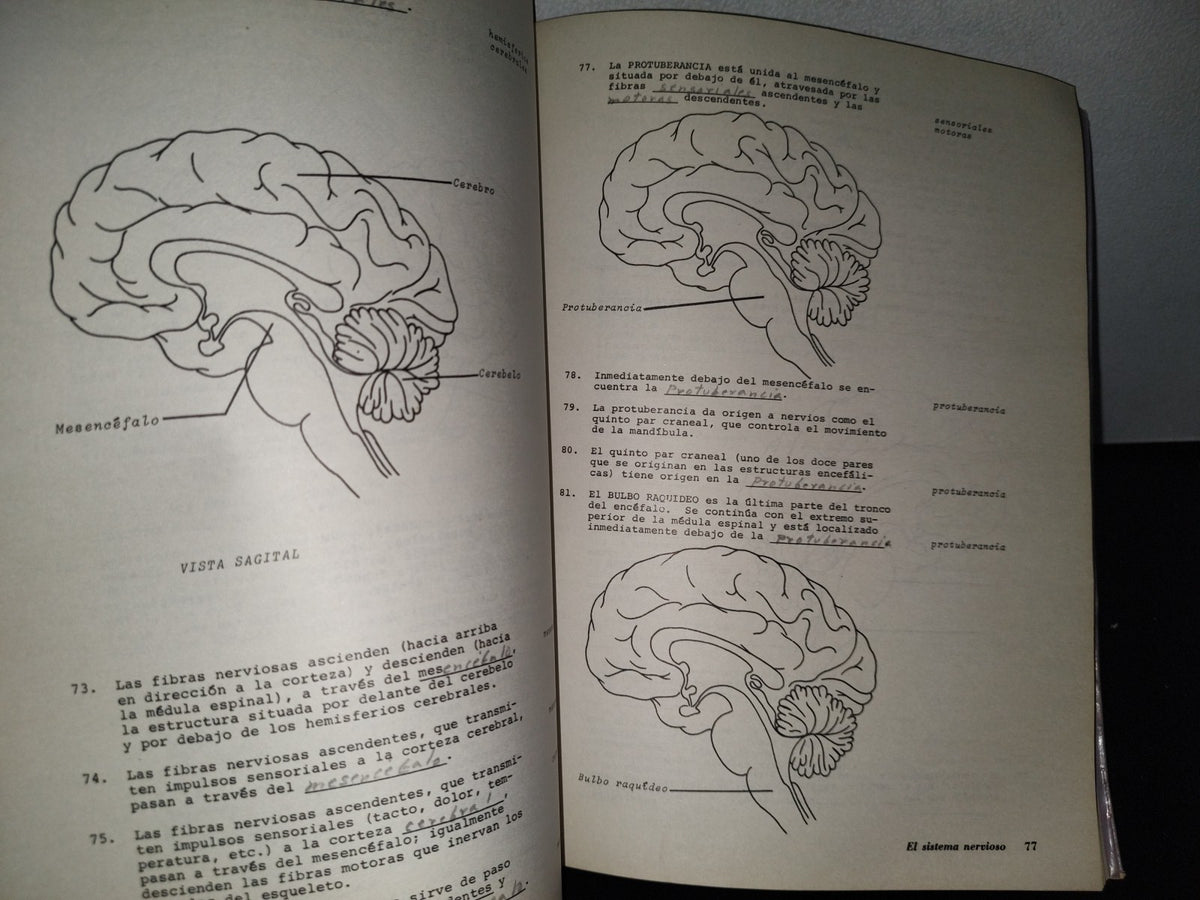 91- Anatomía Humana. Texto Programado - Editorial Limusa 1976