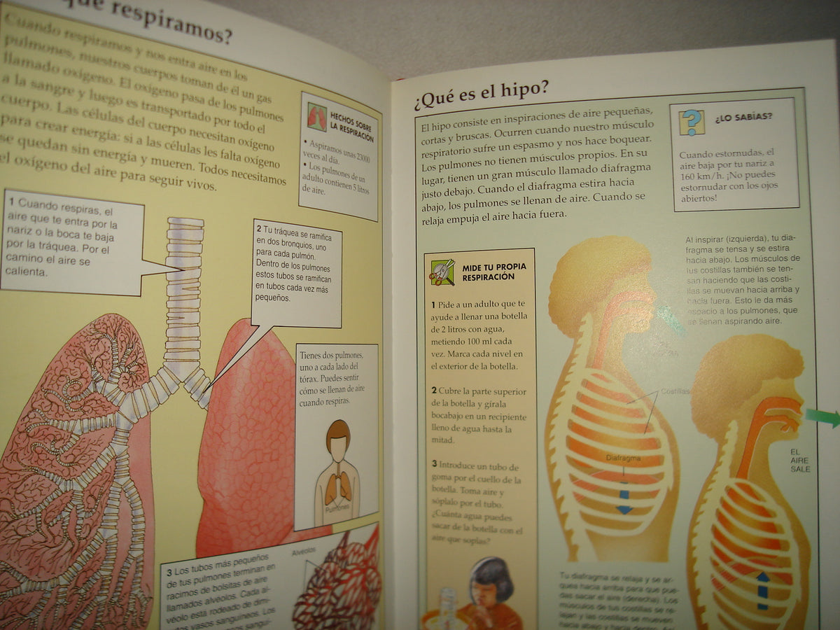 20- El Cuerpo Humano, Preguntas Y Respuestas
