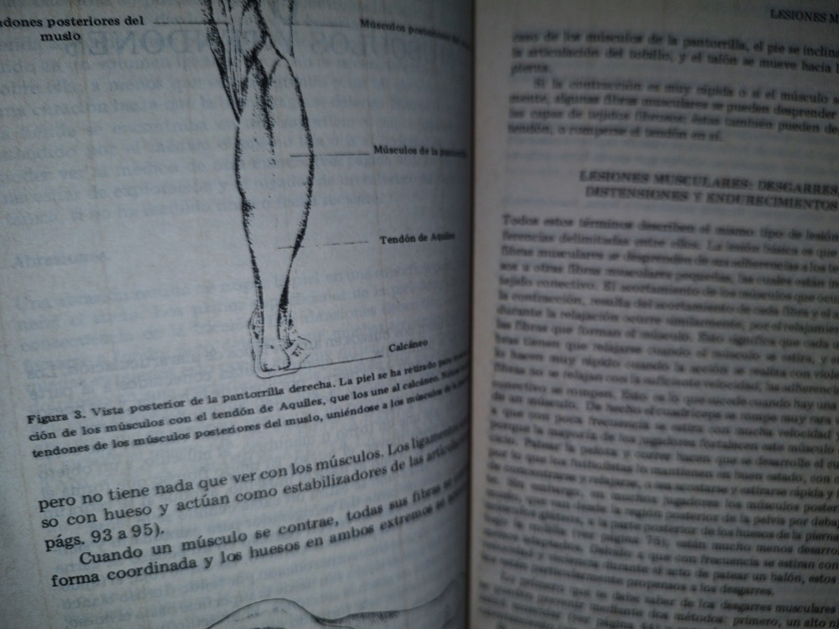 209- Fútbol. Lesiones Y Tratamiento - Muir Gray