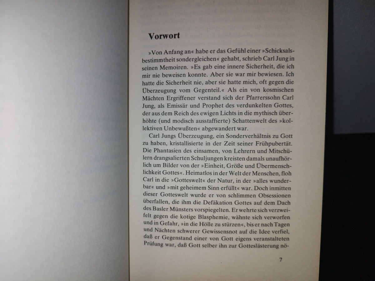 128- Alemán. Paul J. Stern. C. G. Jung. Prophet Des Unbewuẞten. Eine Biographie - 1977