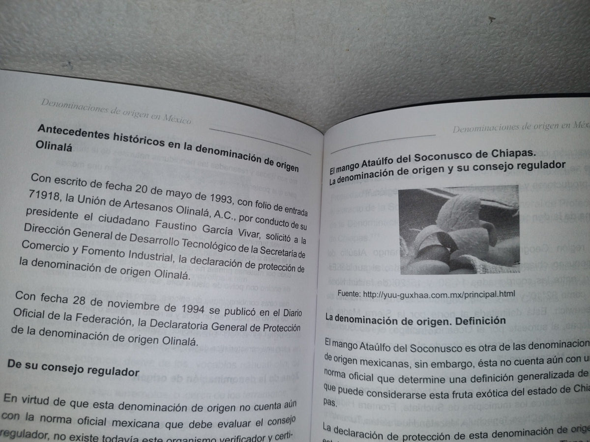60- Las Denominaciones De Origen En México - José Guillermo García Murillo -Primera Edición 2009