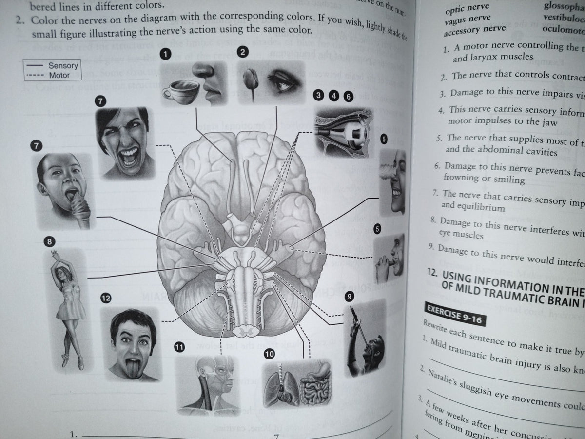 220- Structure And Function Of The Human Body - Kerry L. Hull, Barbara Janson Cohen
