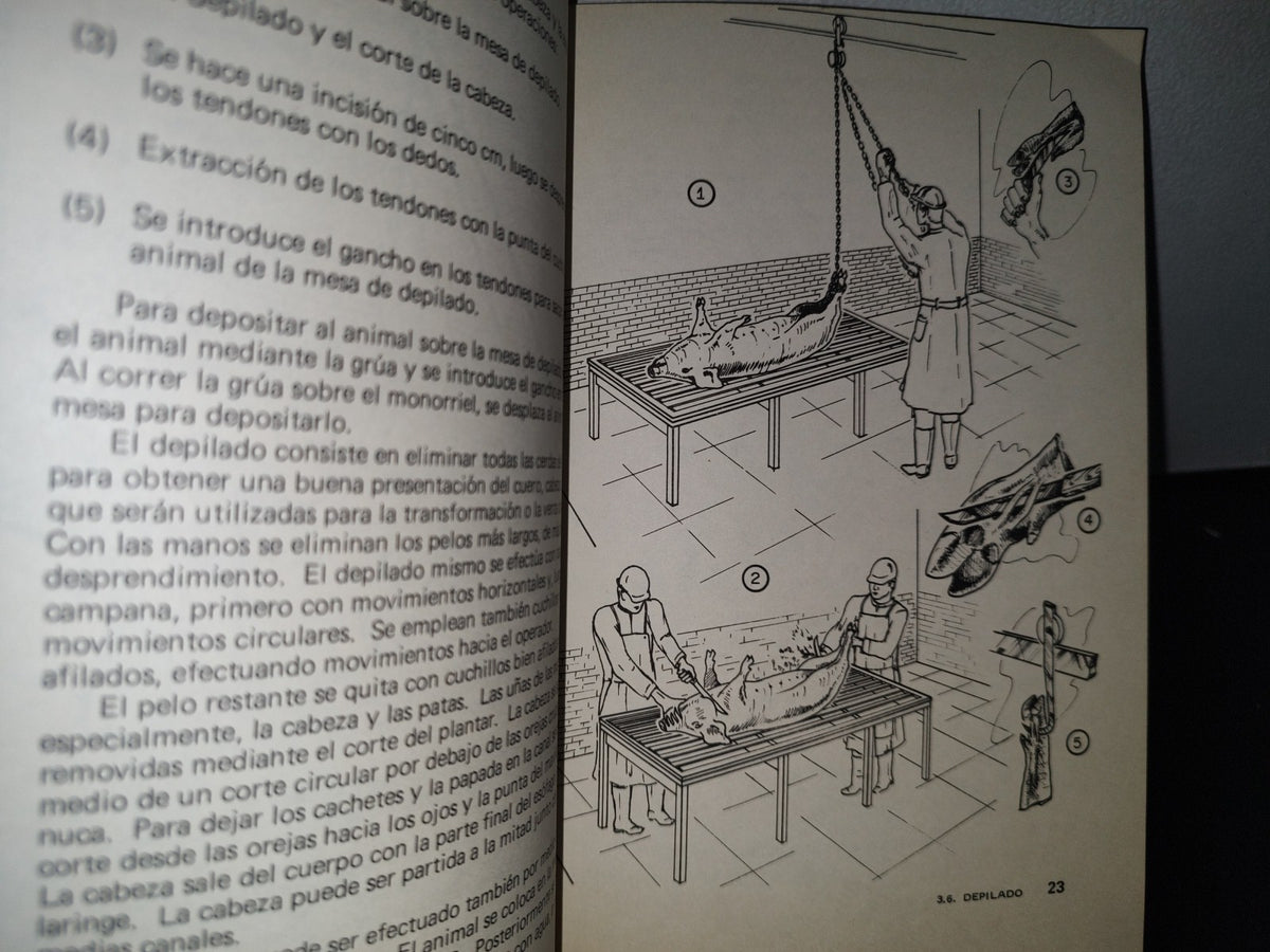 90- Manuales Para Educación Agropecuaria - Obtención De Carne - Editorial Trillas - 1983