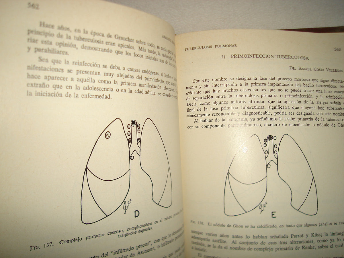 161- Aparato Respiratorio. Patología Clínica Y Terapéutica - Ismael Cosío Villegas - Librería De Medicina, 1978