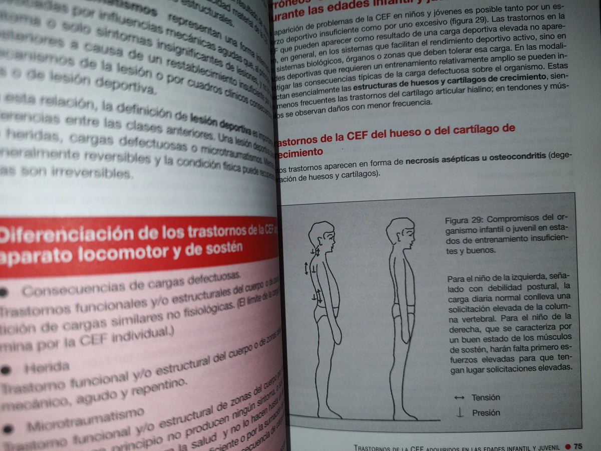 200- Esfuerzo Físico Y Entrenamiento En Niños Y Jóvenes - Gudrun Fröhner - 1A. Ed. 2003