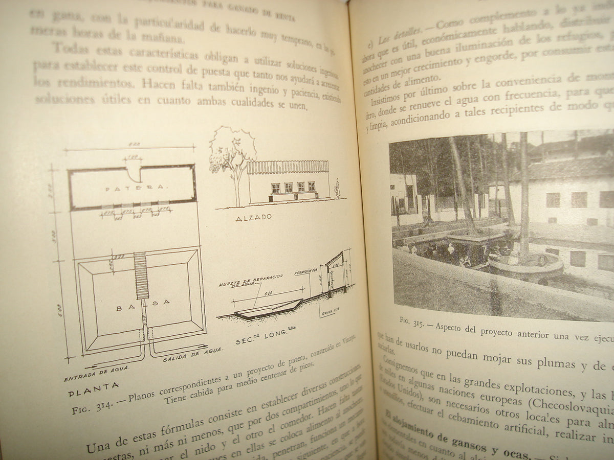 167- Alojamiento Para El Ganado - Santiago Matallana Ventura - Salvat Editores, S. A., 1953