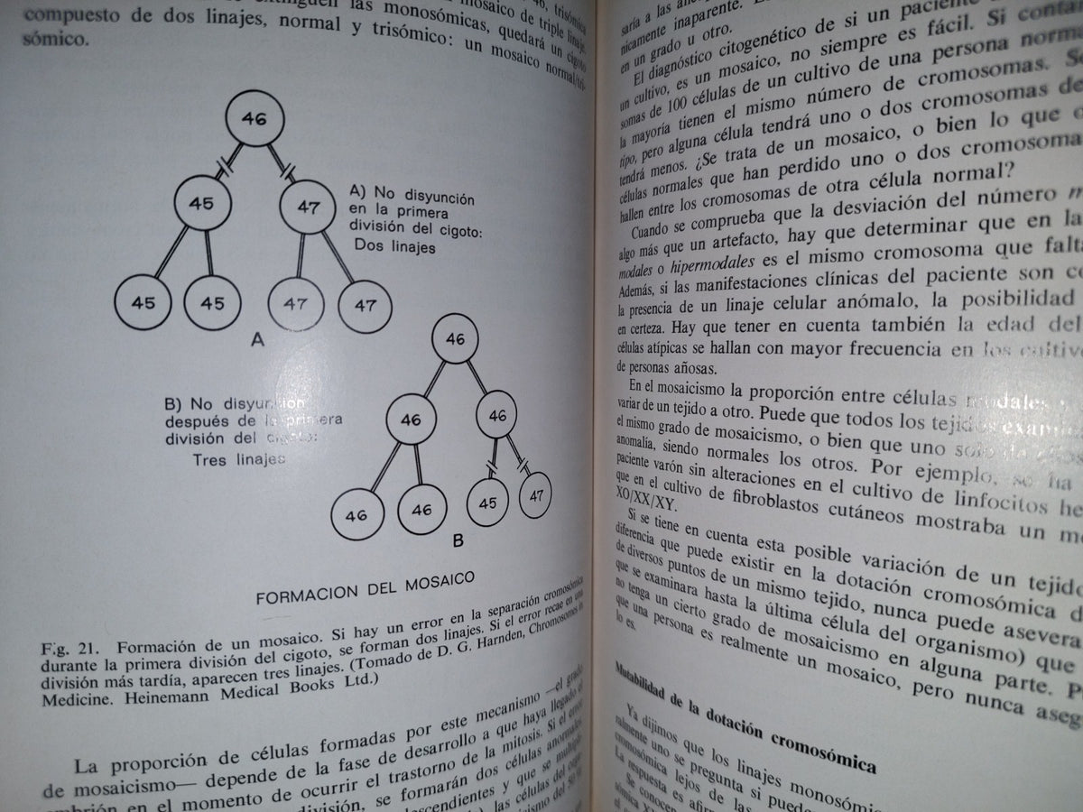 124- Trastornos Cromosómicos. Introducción Para El Clínico - G. H. Valentine