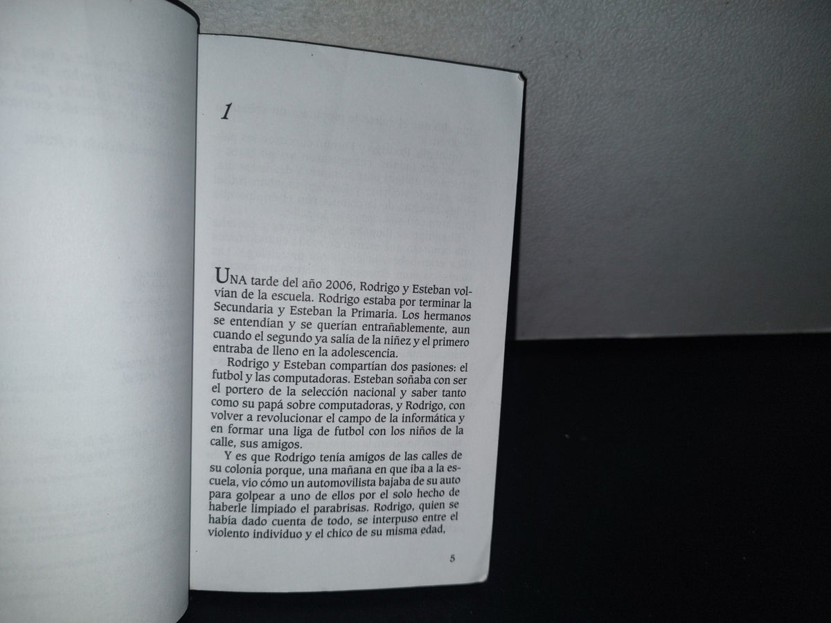 93- La Desaparición De La Abuela - Isabel Álvarez De La Peza - 2008