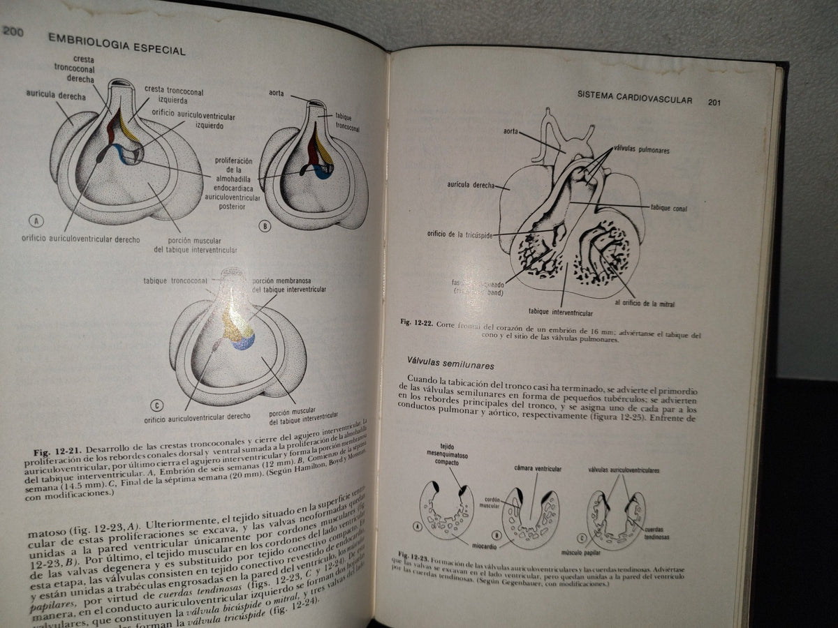 99- Embriología Médica - Dr. Jan Langman - Nueva Editorial Interamericana - 1976