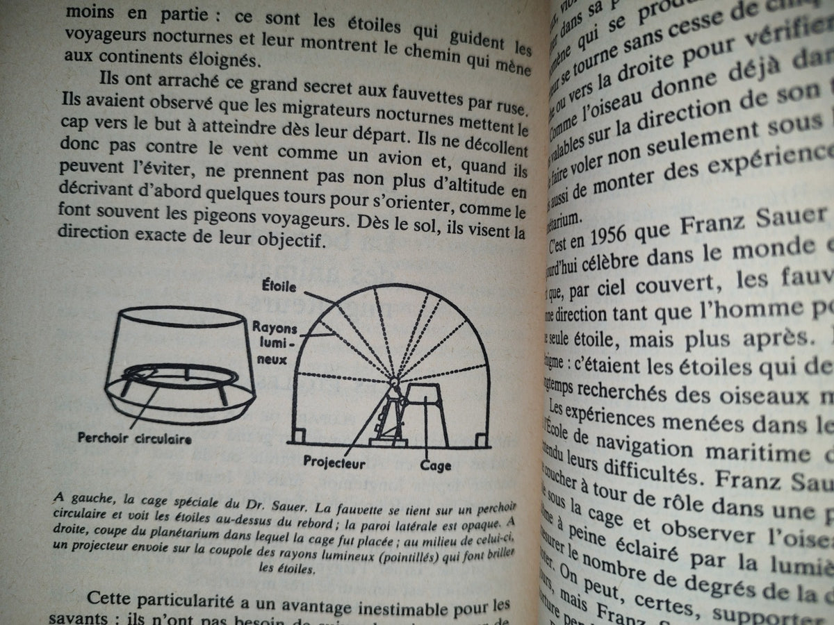 87-2- Les Sens Mystérieux Des Animaux - Vitus B. Dröscher - 1965