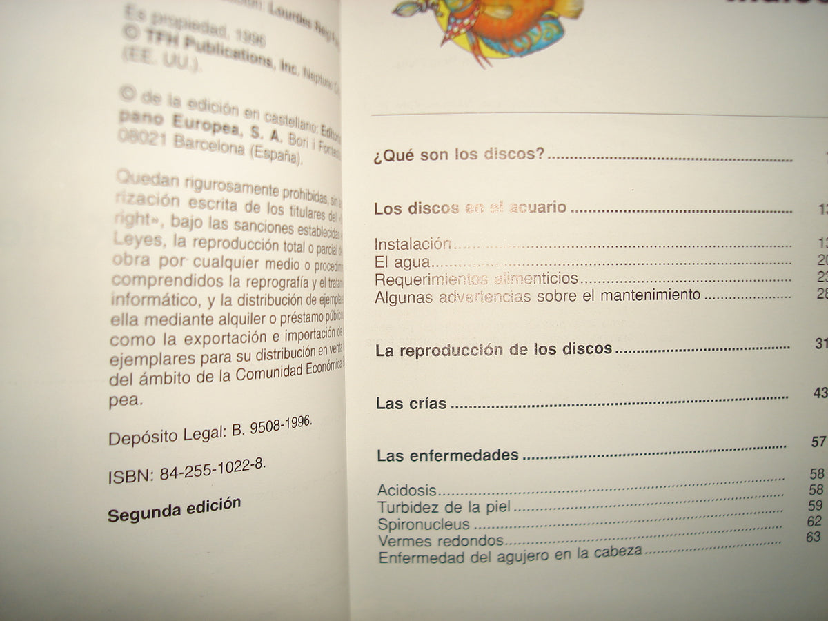 38- Mis Peces Disco - Gunter Keller