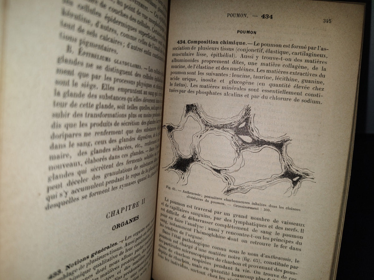 65- Francés. Traité Élémentaire De Chimie Biologique, Pathologique Et Clinique - 1897