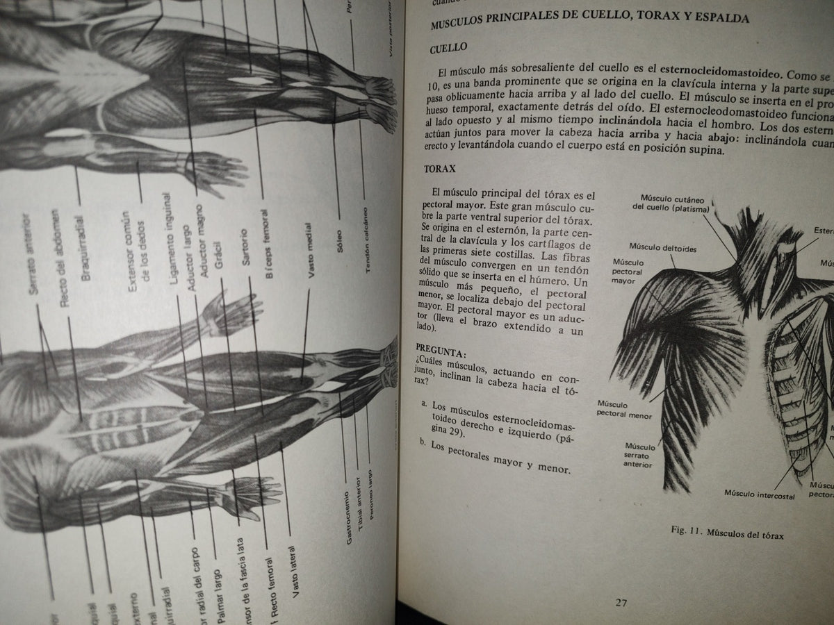 214- Curso Programado De Anatomía Y Fisiología. Sistema Muscular - Robert J. Brady - 1978