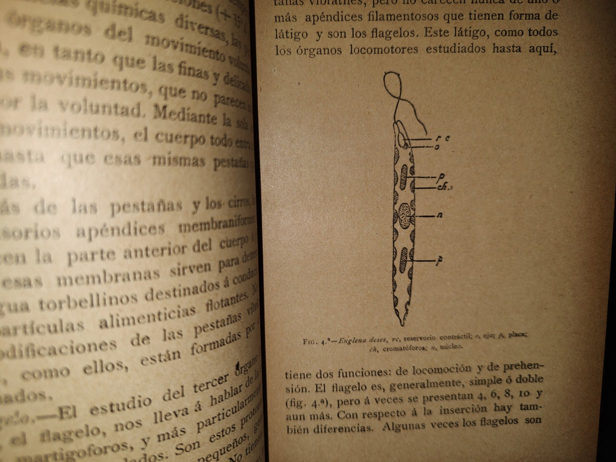 63- Biblioteca Científico-Filosófica. El Fetichismo En El Amor - Binet - 1904