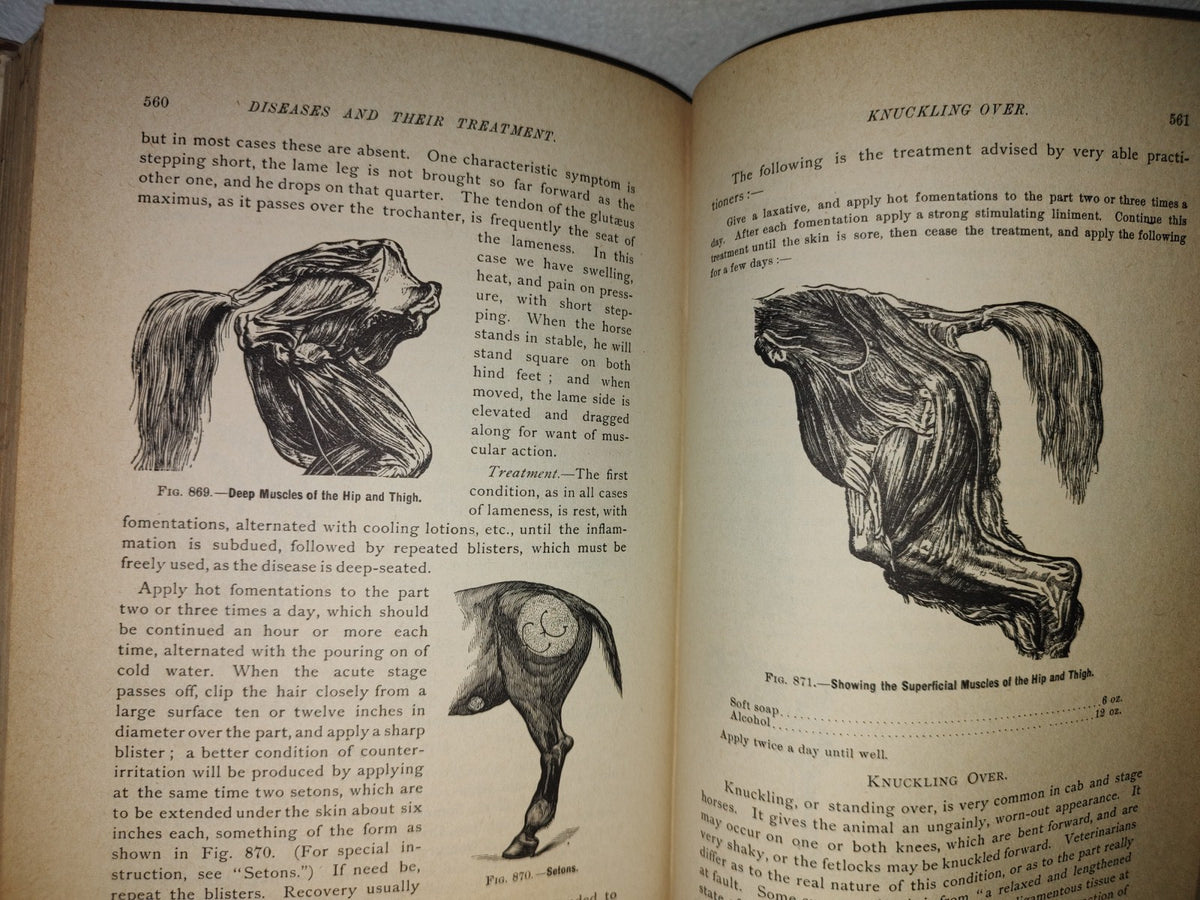 173- Enciclopedia Del Caballo. The Classic Encyclopedia Of The Horse - Dennis Magner - Bonanza Edition 1980