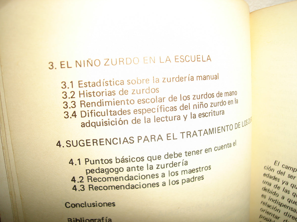18- El Niño Zurdo - Raquel Peisekovicius