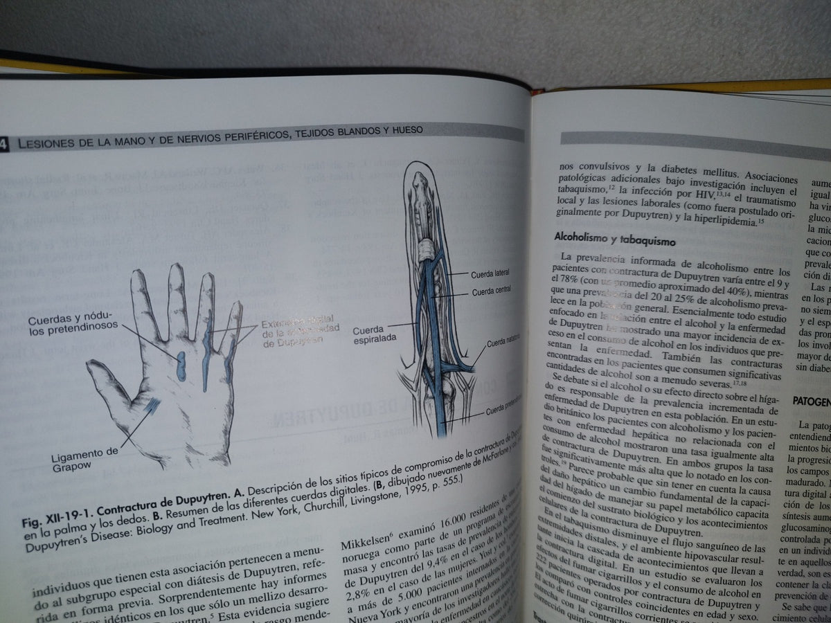 128- Ortopedia Tomo II - Fitzgerald, Kaufer, Malkani - Editorial Médica Panamericana