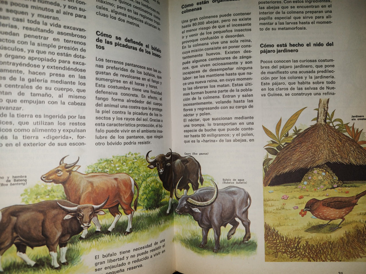 99- Biblioteca Básica Juvenil. El Libro Del Cuándo, Porqué, Dónde, Cómo - Ediciones Grijalbo, 1973