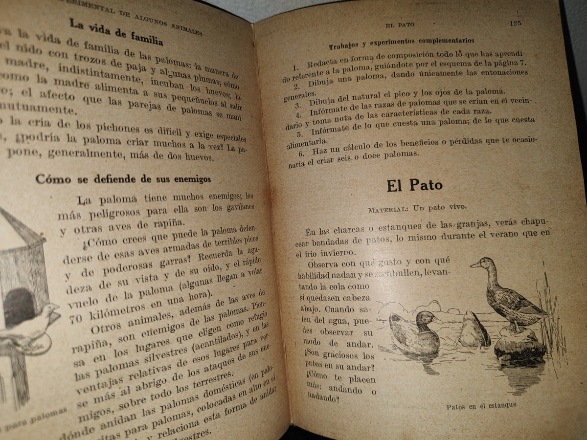 195- Estudio Experimental De Algunos De Los Animales - Juan Palau Vera - 1922