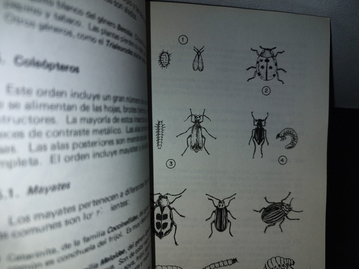 96- Protección De Cultivos - Manuales Para Educación Agropecuaria
