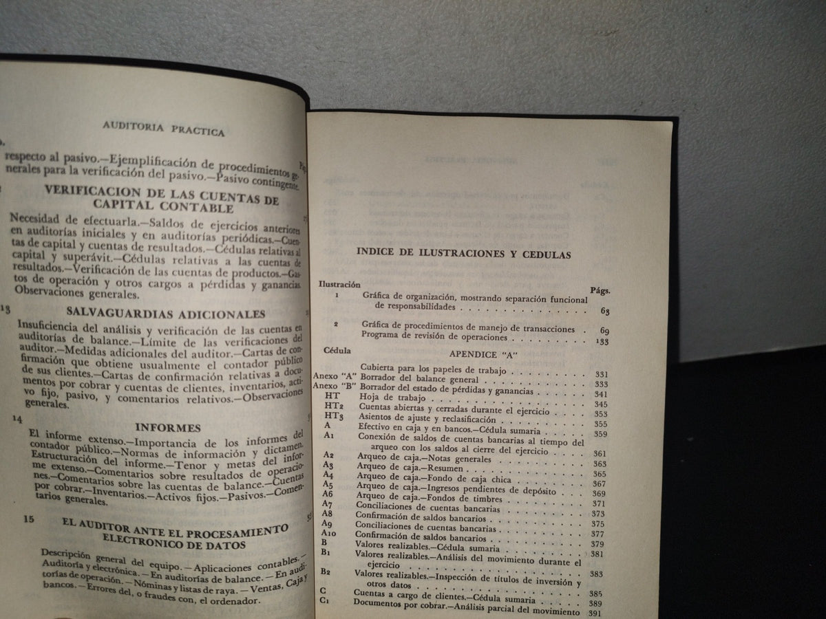 128- Auditoría Práctica - Luis Ruiz De Velasco, Alejandro Prieto