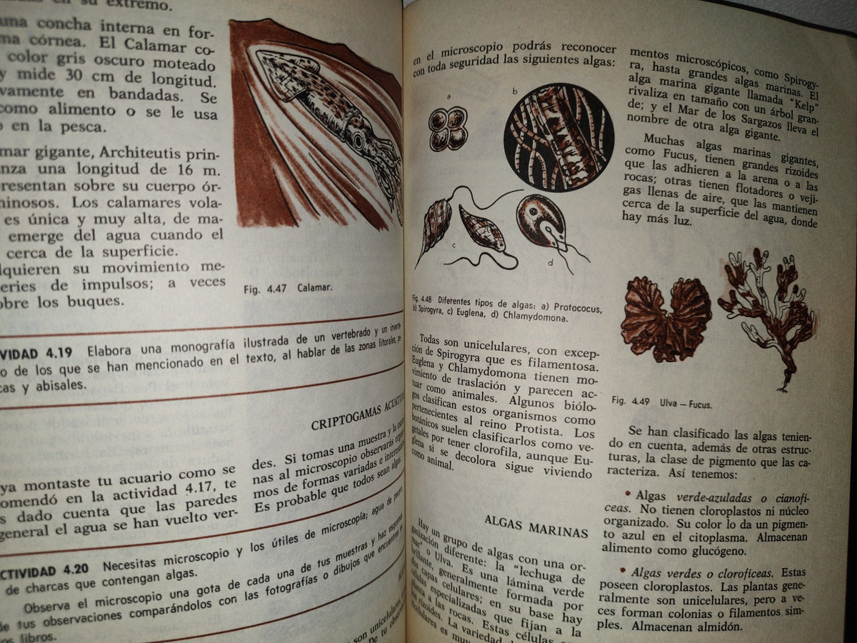 91- Educación Dinámica. Ciencias Naturales. Tercer Grado - E. Moreno, M. Moreno - 1977
