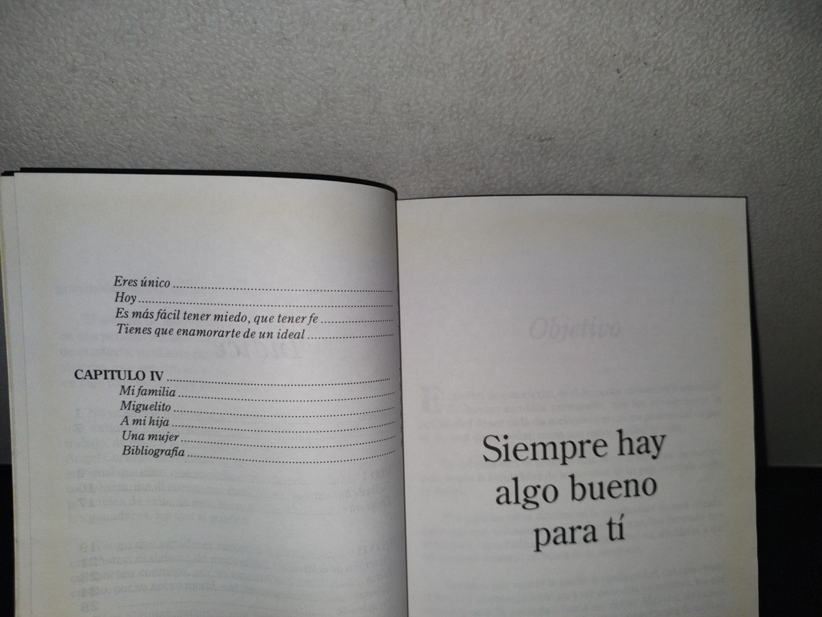 85- Caminemos Hacia El Éxito - Miguel Ángel Moyrón Paredes - Primera Edición 1997