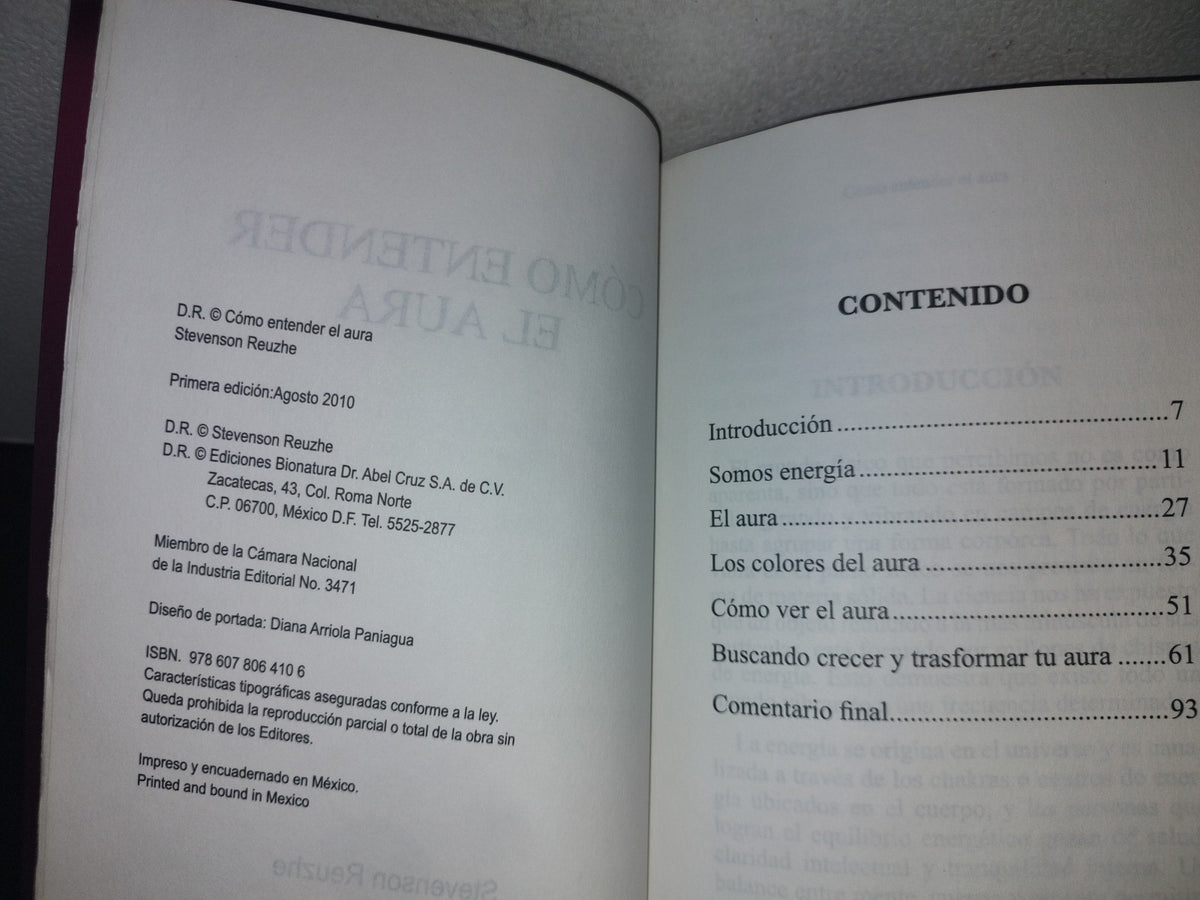 209- Cómo Entender El Aura - Stevenson Reuzhe - Primera Edición 2010