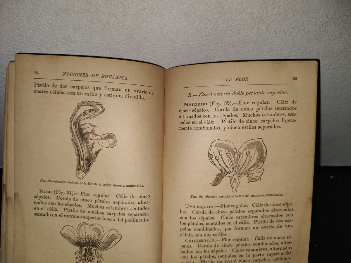 65- Nociones De Botánica - J. D. Hooker - 1881