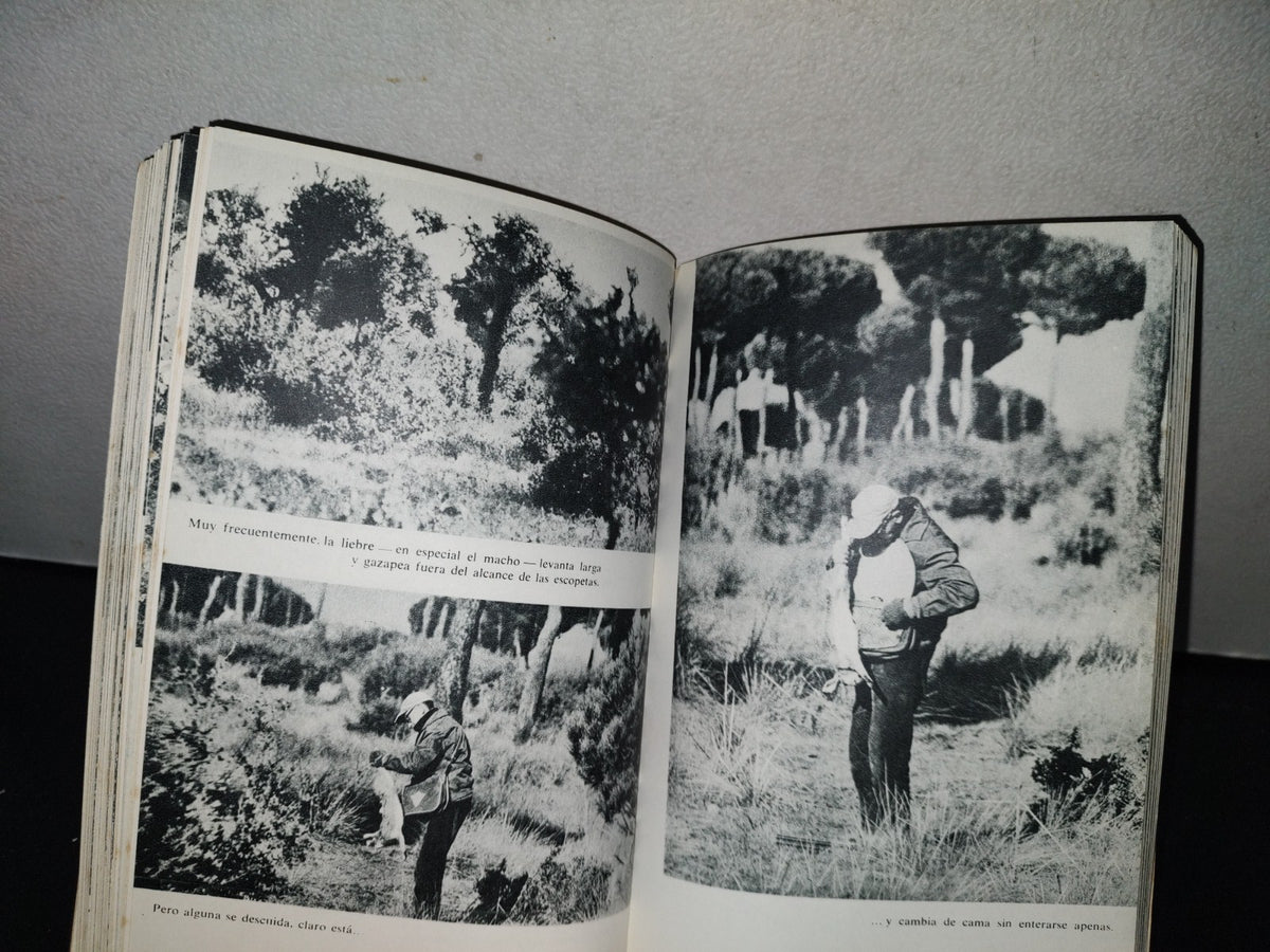 87-2- El Libro De La Caza Menor - Miguel Delibes - Ediciones Destino - 1973