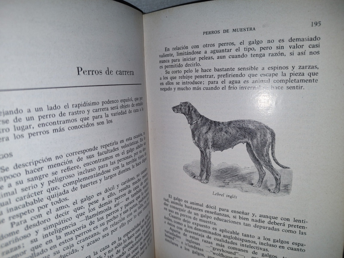 66- Perros De Caza - Fernando Huerta Ramírez - Editorial Hispanoeuropea 1968
