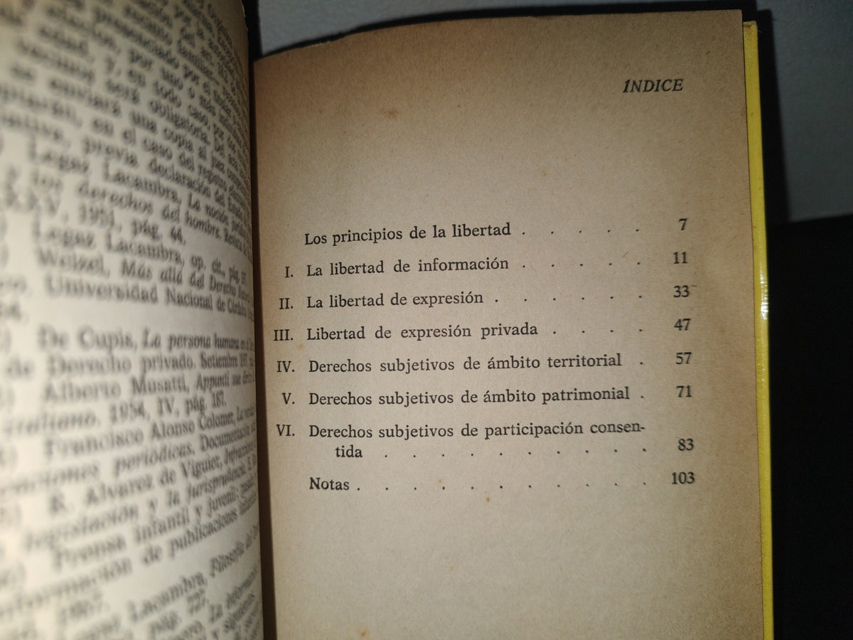 196- Libertad De Expresión Privada - César Molinero - A.T.E. - 1981