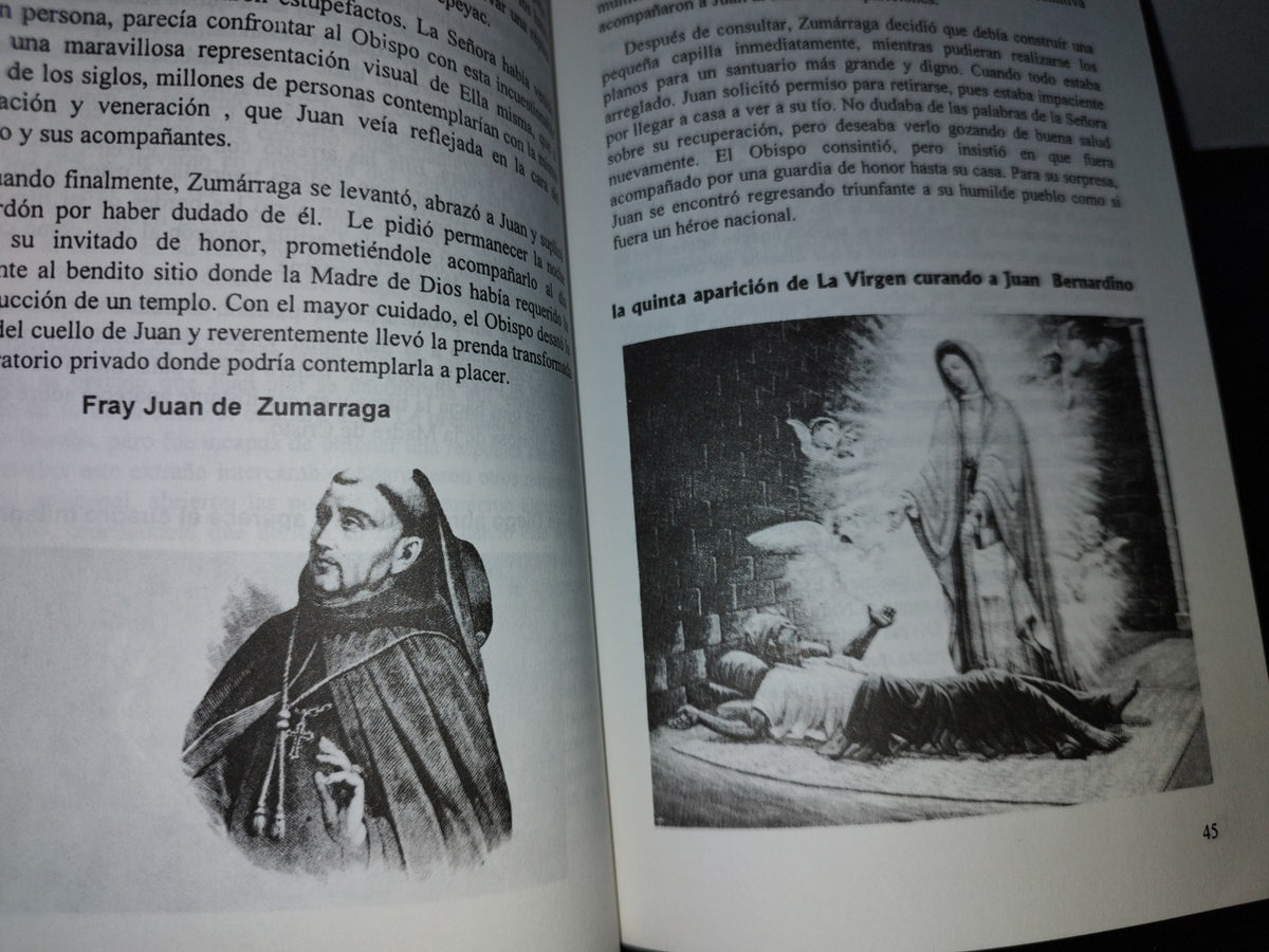 66- El Milagro De Guadalupe - Francisco Johnston