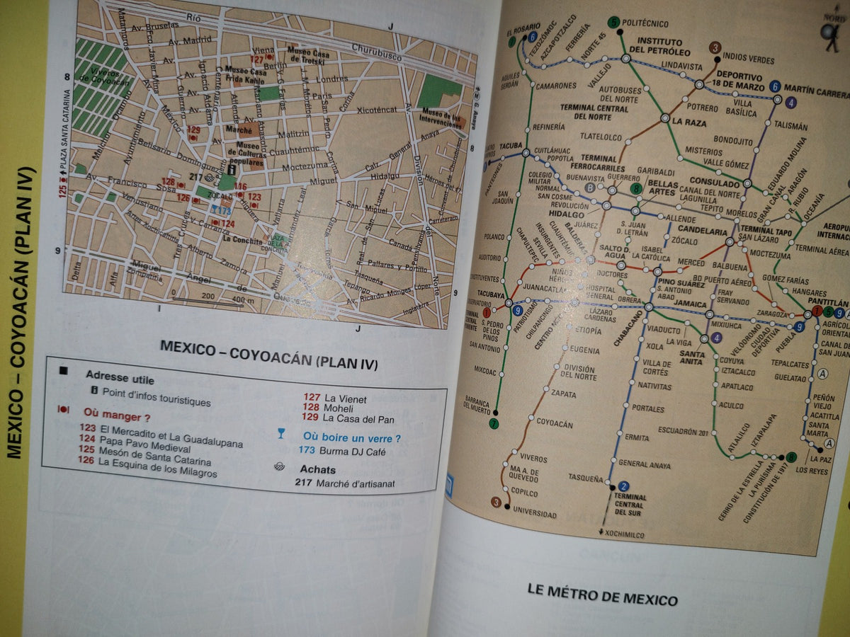 196- Mexique. Le Guide Du Routard 2008