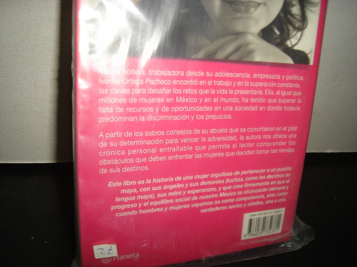 8- En El Viejo Sillón - Ivonne Ortega