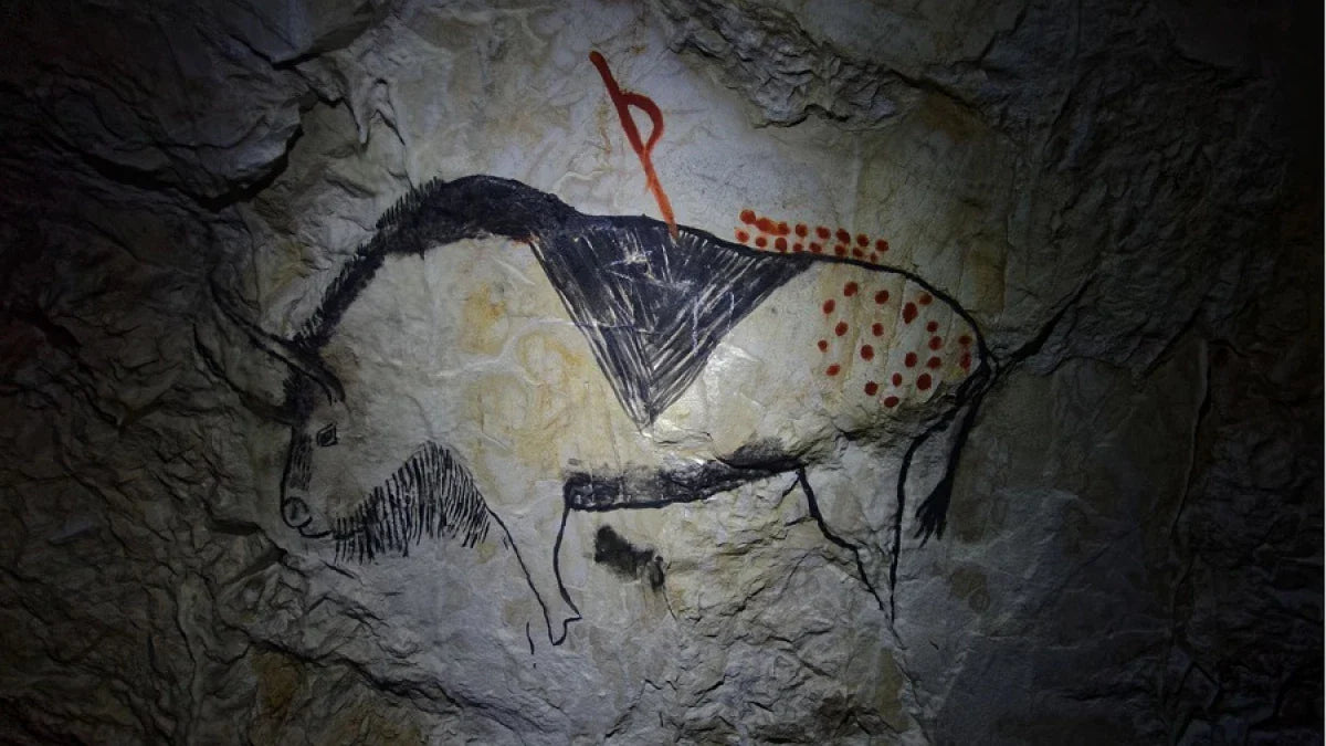 Arqueología, Paleontología, Geología, Antropología y Temas Afines